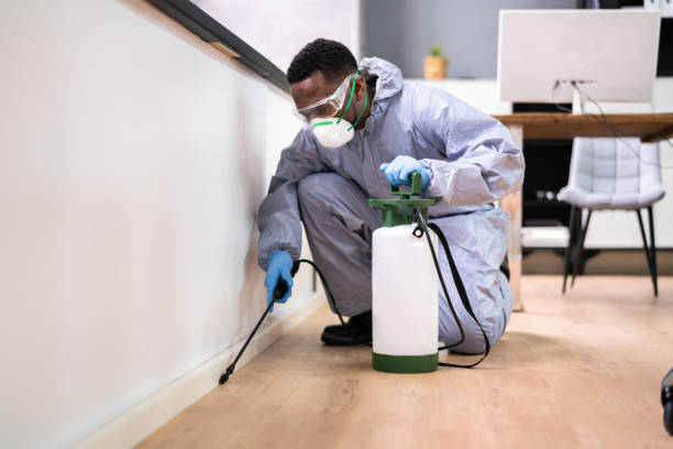 Real Estate Pest Inspections in West Salem, OH